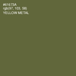 #61673A - Yellow Metal Color Image